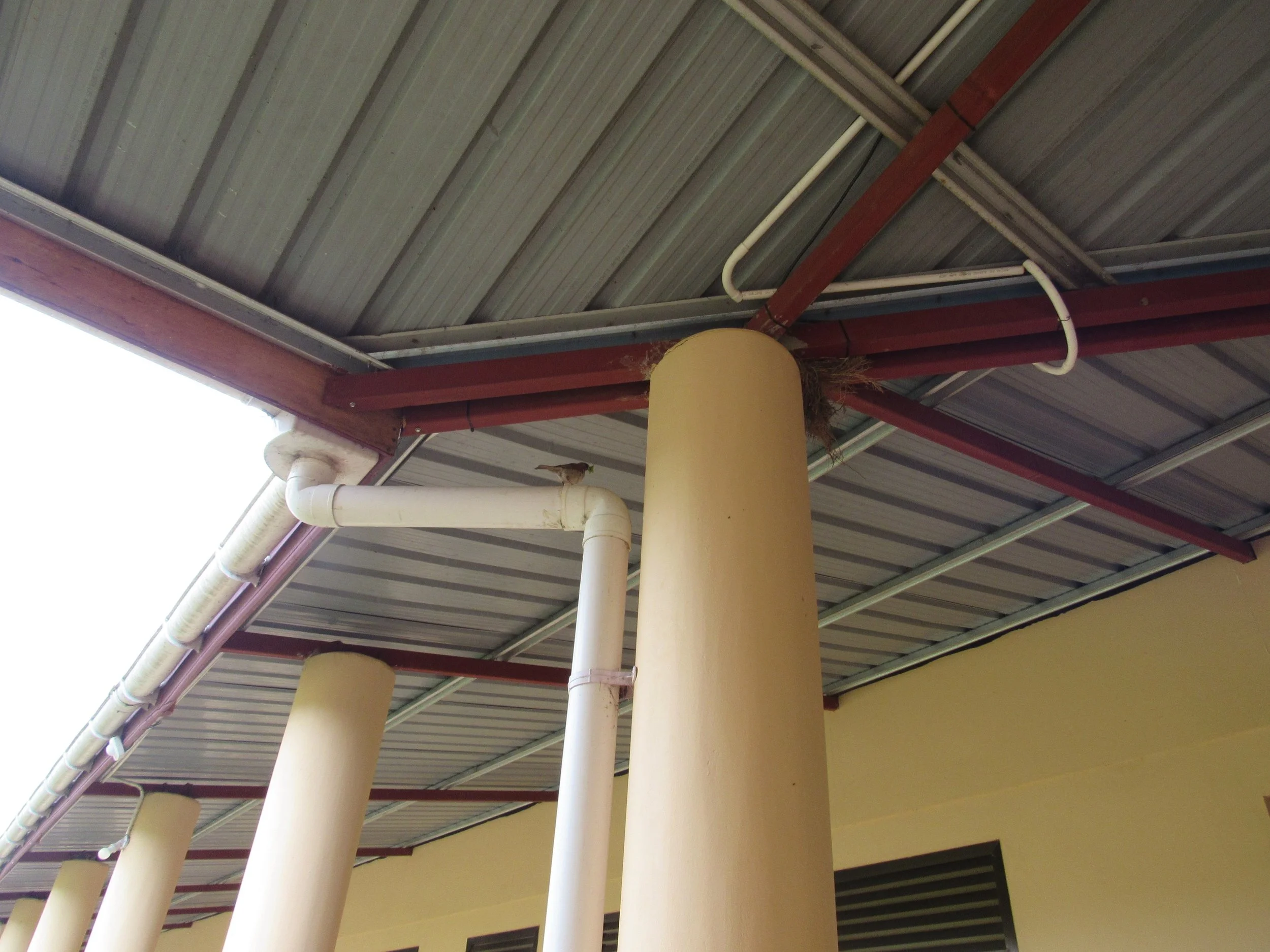 IMG_5078.jpg