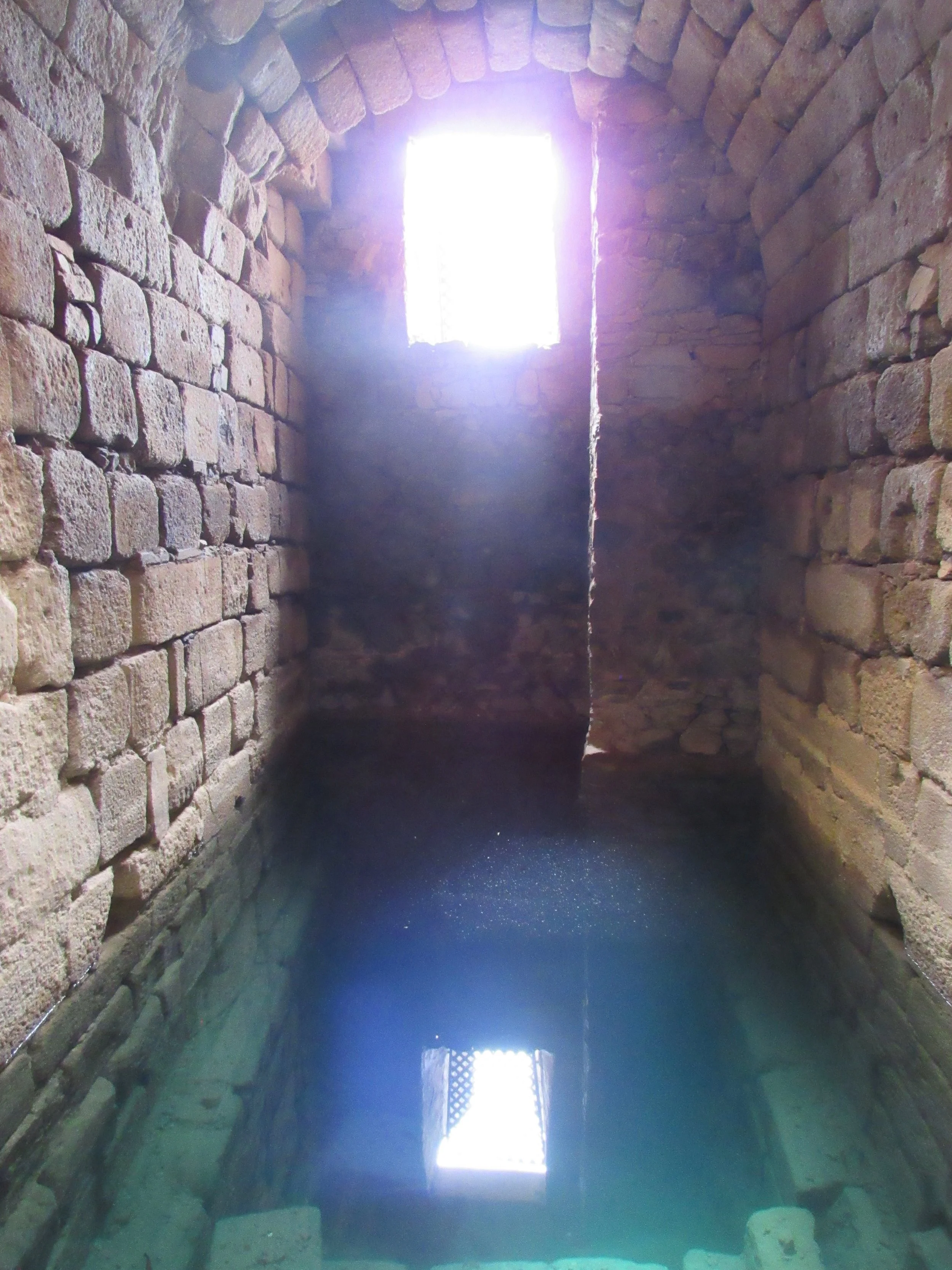 IMG_9524.jpg