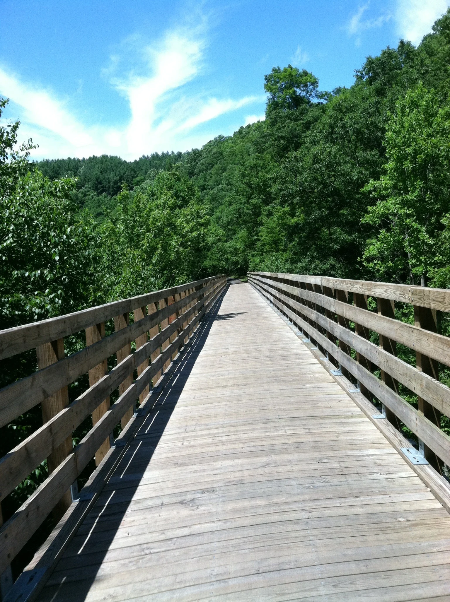  I took this photo using an iPhone 4 with one hand, while riding a bike at 20MPH down the Virginia Creeper Trail way back in 2011. Personally, I think it has aged remarkably well.  