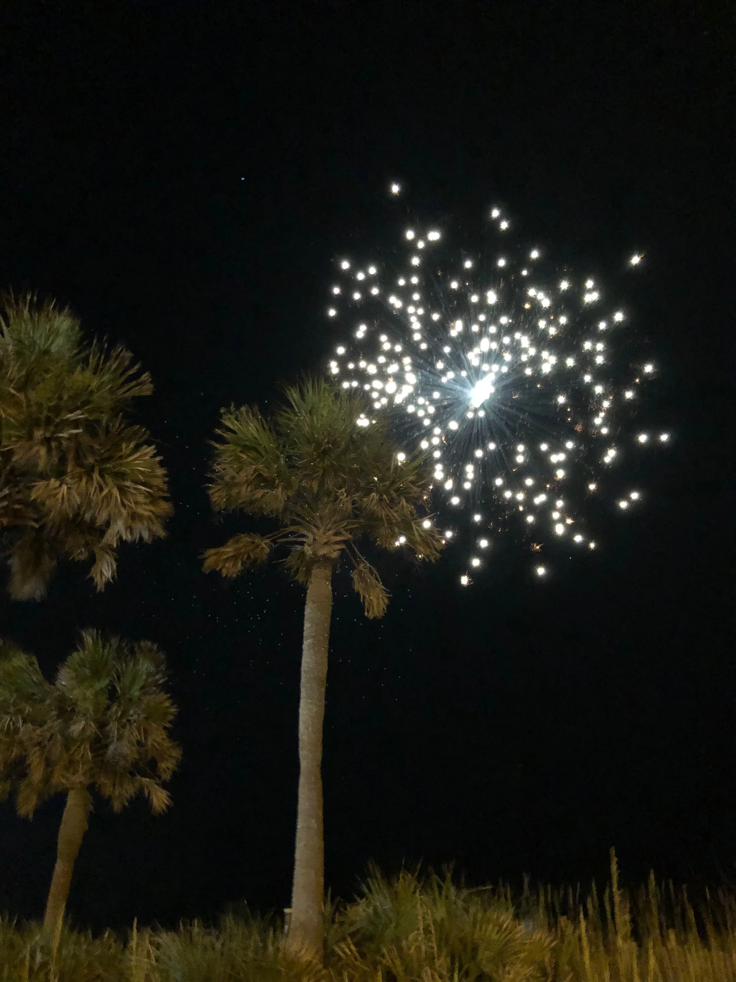 IMG_1950.jpeg