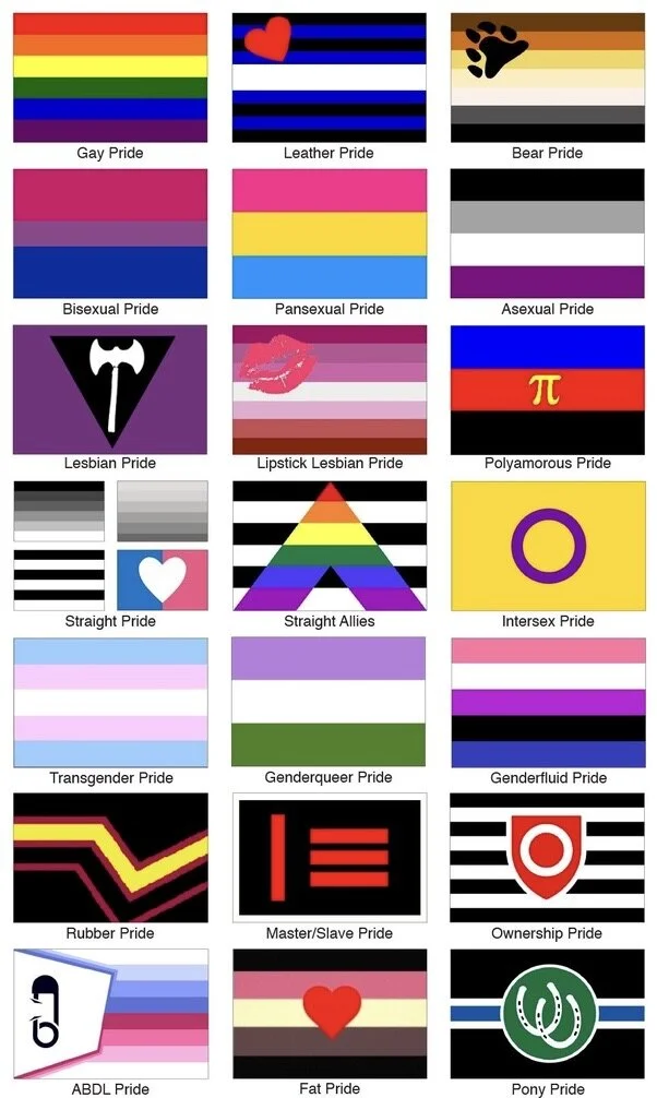 Some of the various “pride” flags adopted by the LGBTQIAPEMDAS+ community.