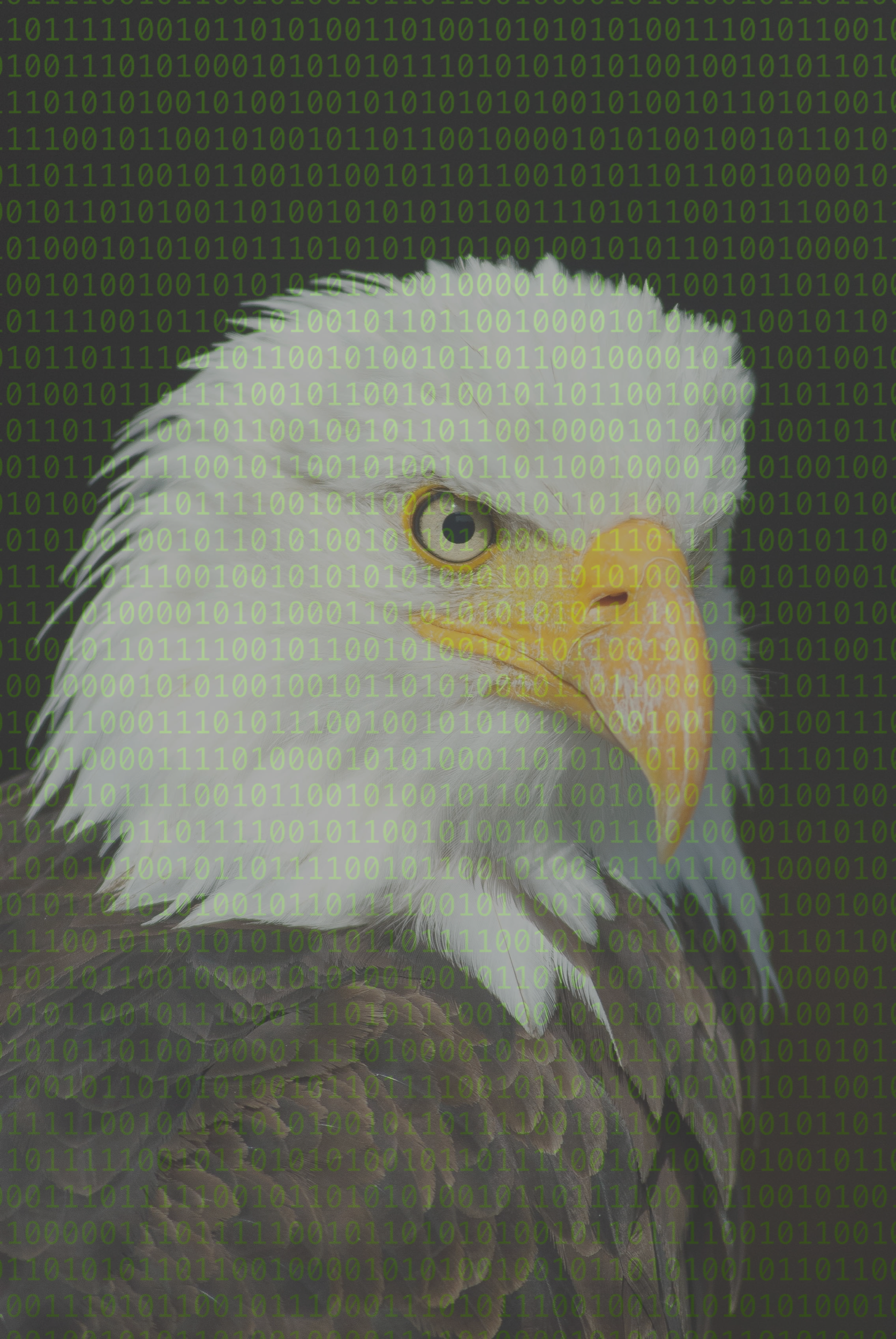 The New Patriot Act
