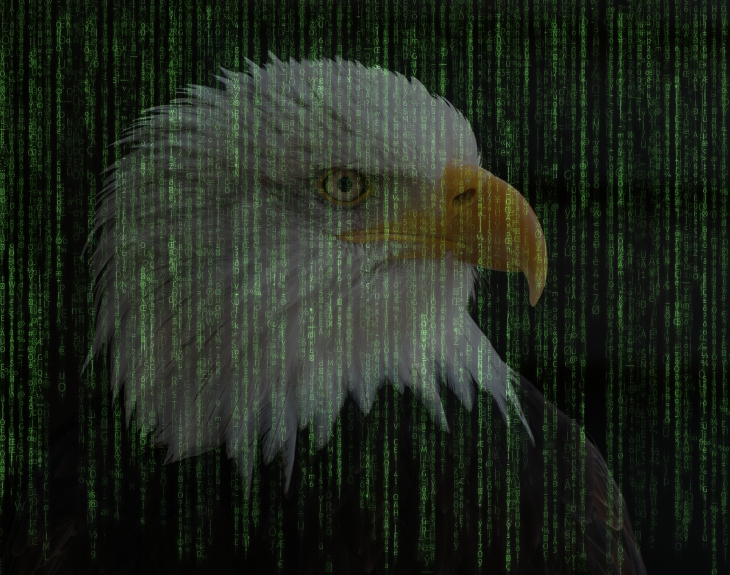 The Senate Attack On Encryption