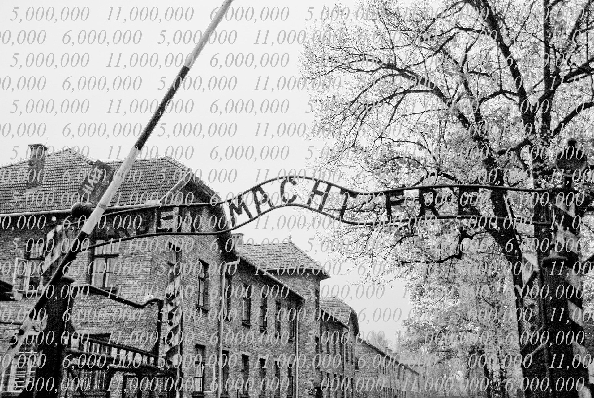 Holocaust Numbers