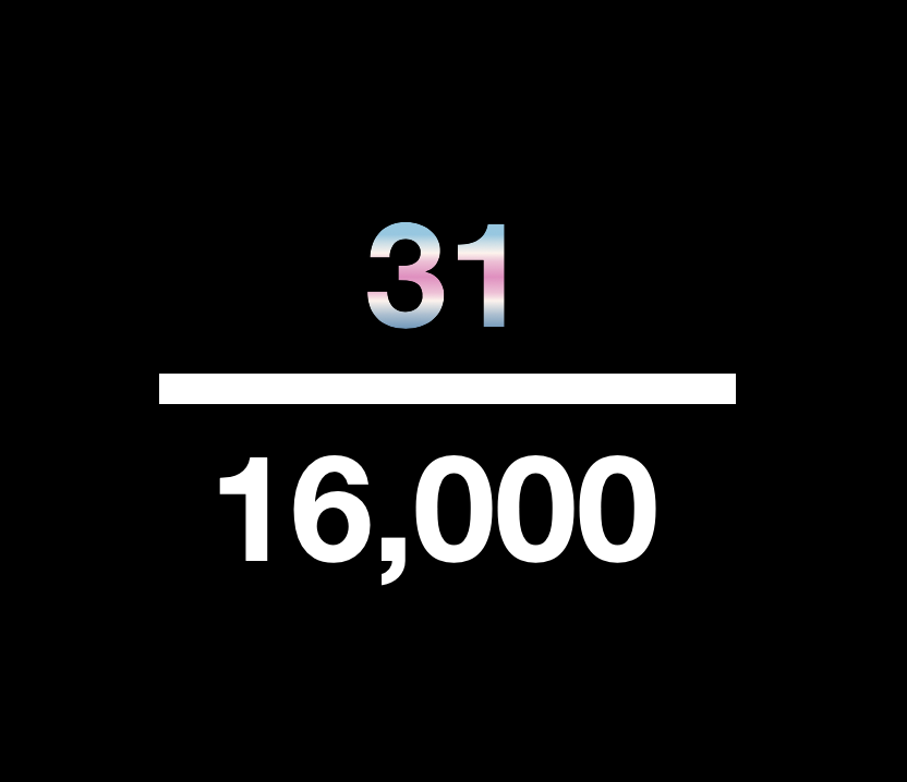 Are Trans People Murdered at A Disproportionate Rate?