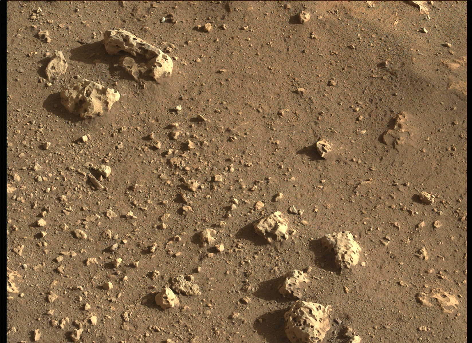 Mars_Perseverance_ZLF_0003_0667220316_000FDR_N0010052AUT_04096_034085J01.png