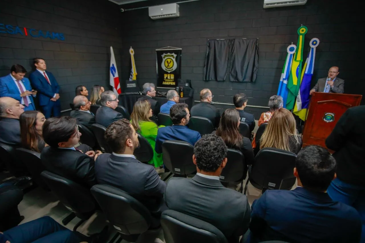 entrega PED (4).jpeg