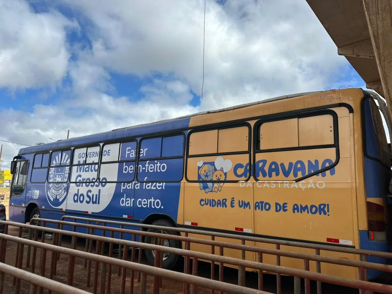 Caravana da castração ddos (10).jpeg