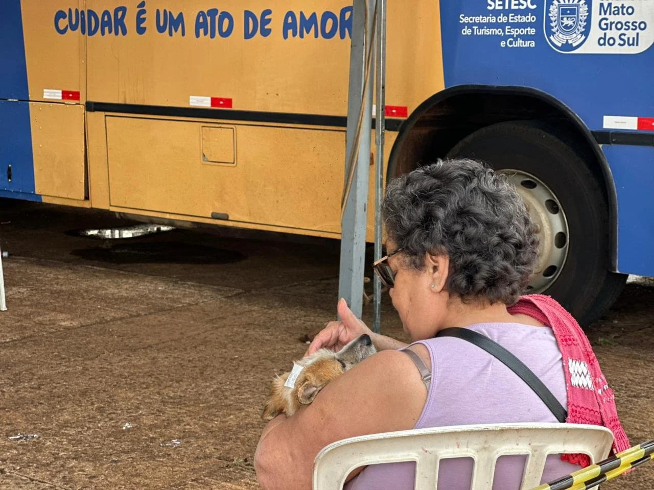 Caravana da castração ddos (11).jpeg