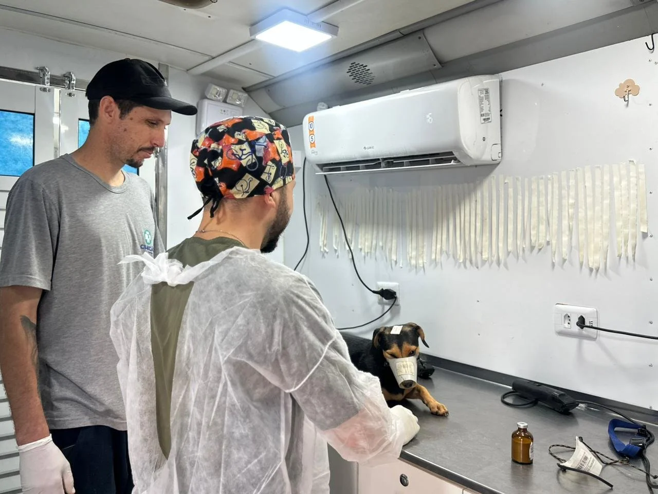 Caravana da castração ddos (4).jpeg