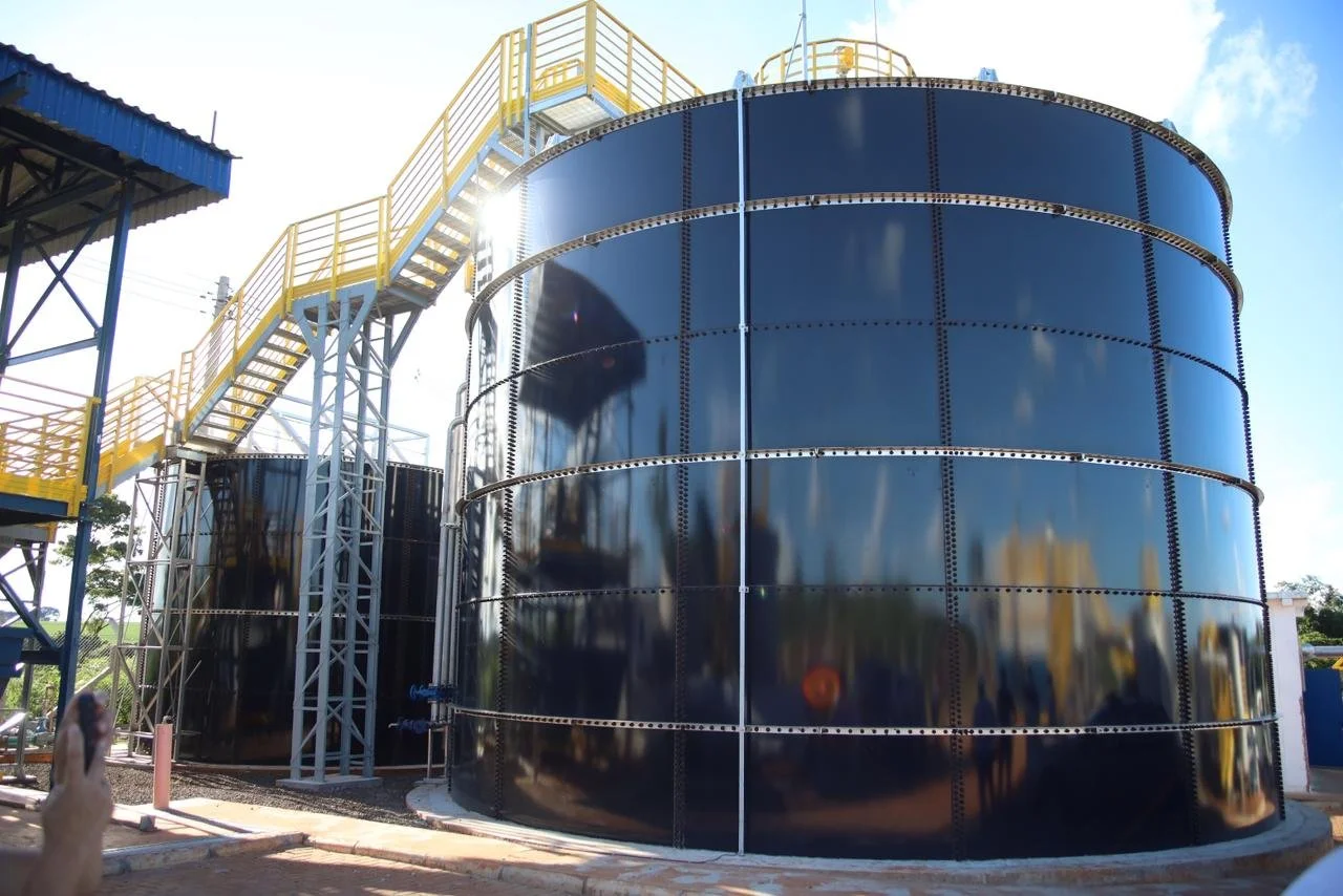 WhatsApp Image 2026-01-16 at 11.00.19.jpeg