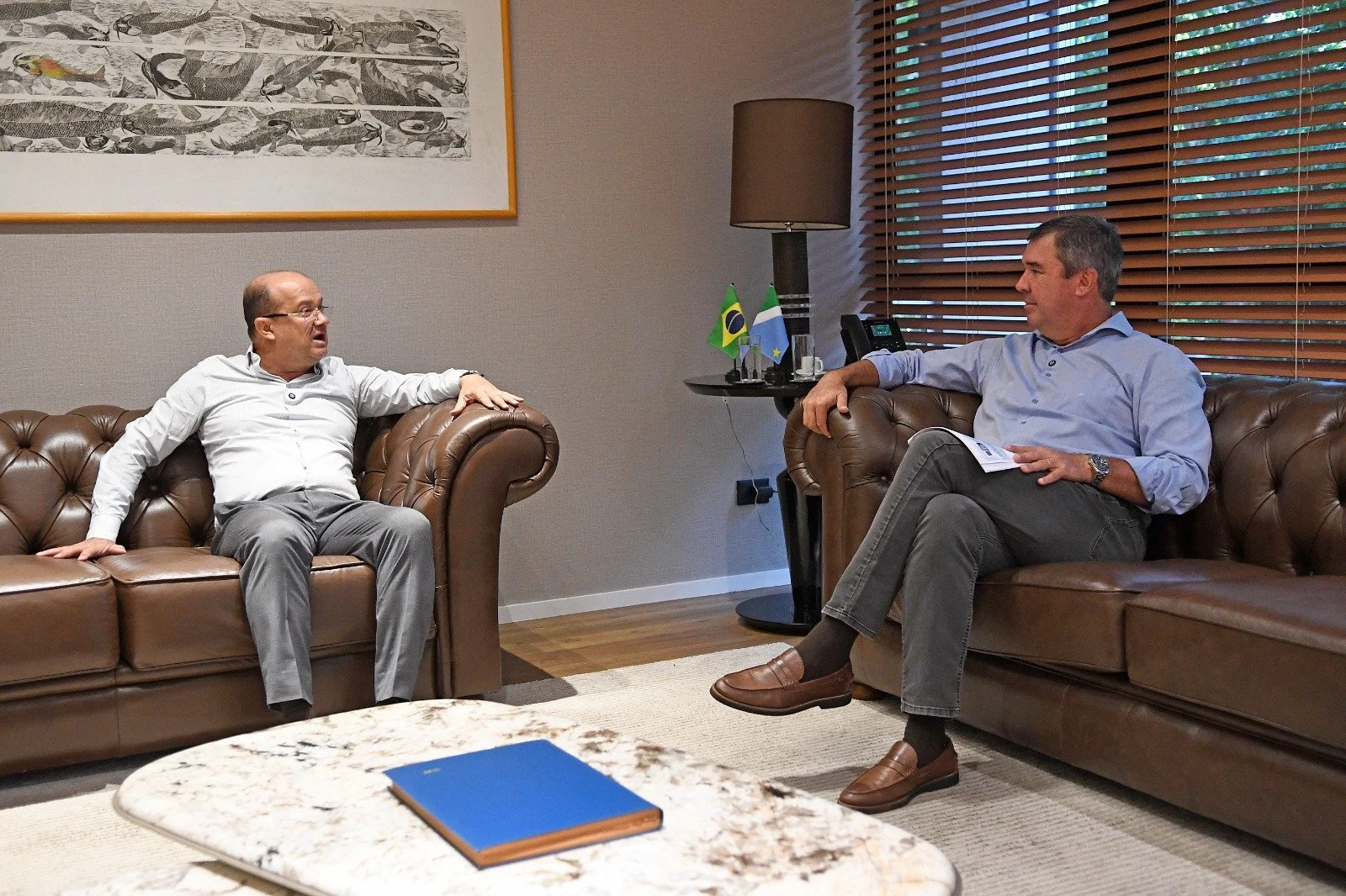 WhatsApp Image 2026-01-19 at 09.25.05.jpeg