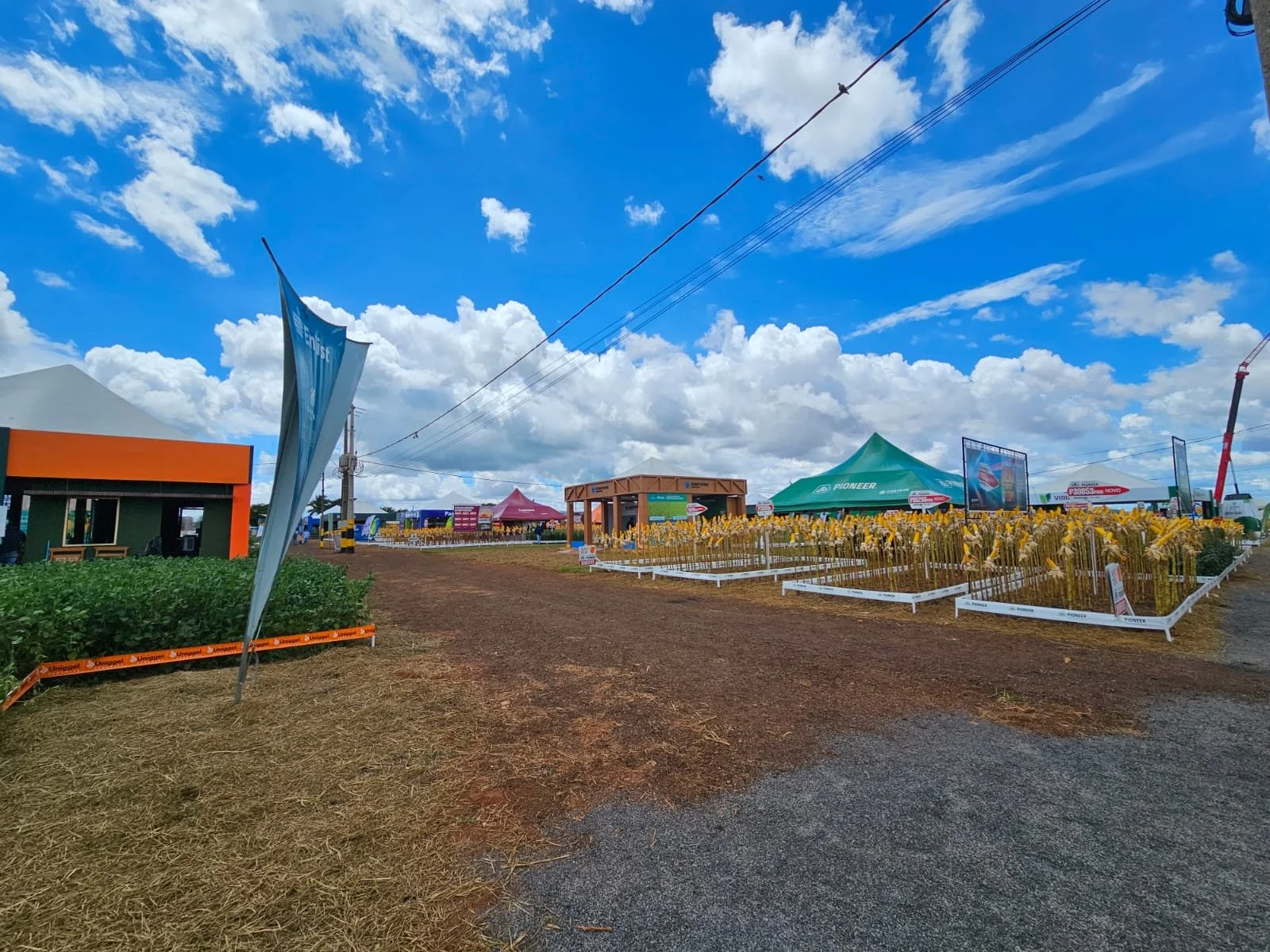 WhatsApp Image 2026-03-17 at 15.56.01.jpeg