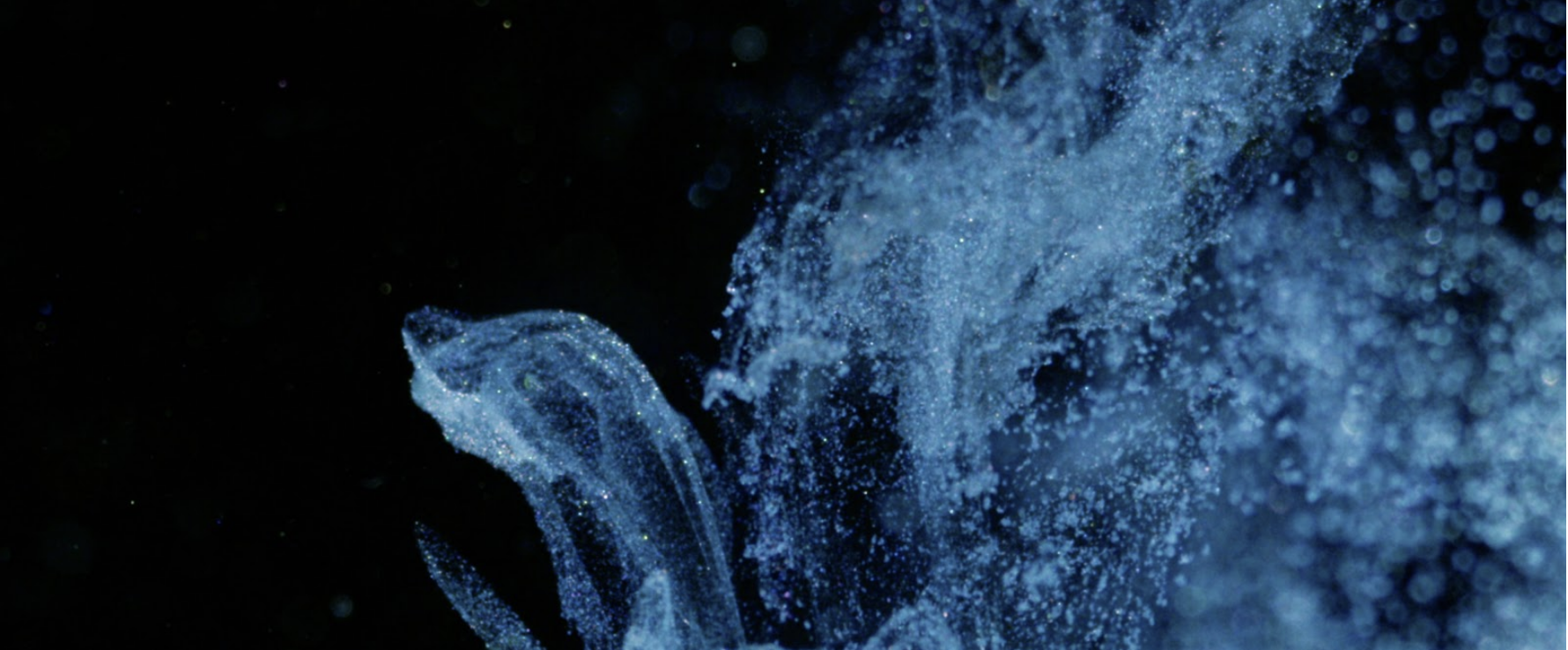 Screenshot 2019-07-22 12.44.41.png