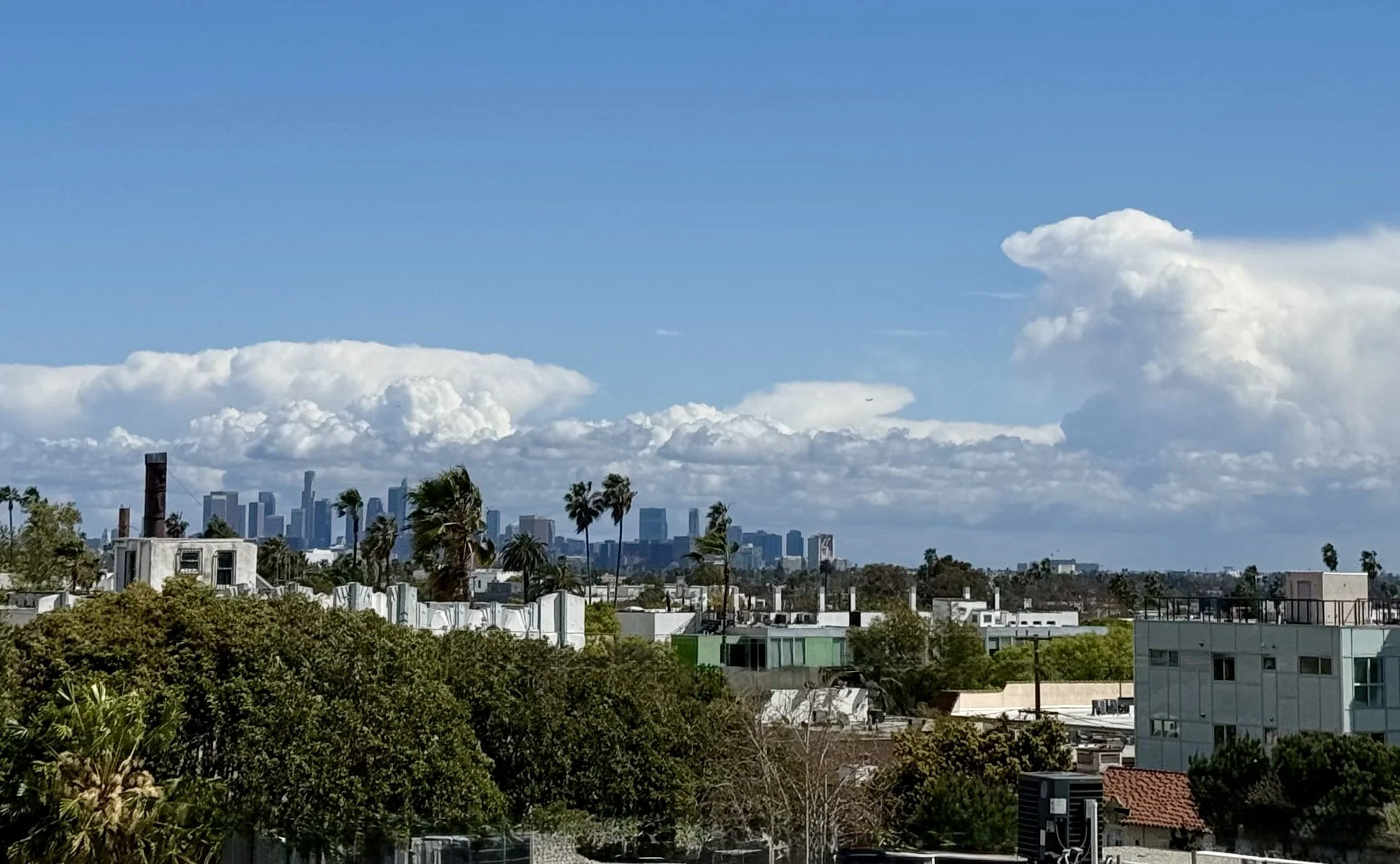 1260 Kings - panoramic view.jpeg