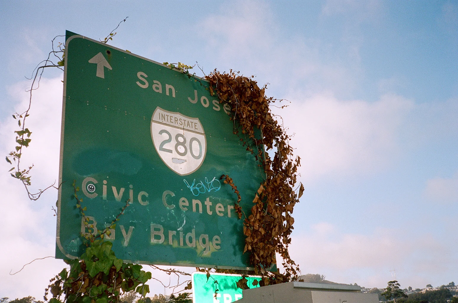street23.jpg