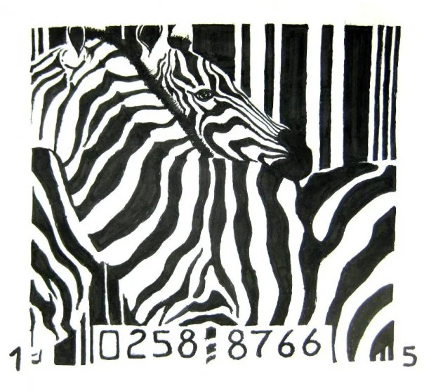 Zebra.jpg