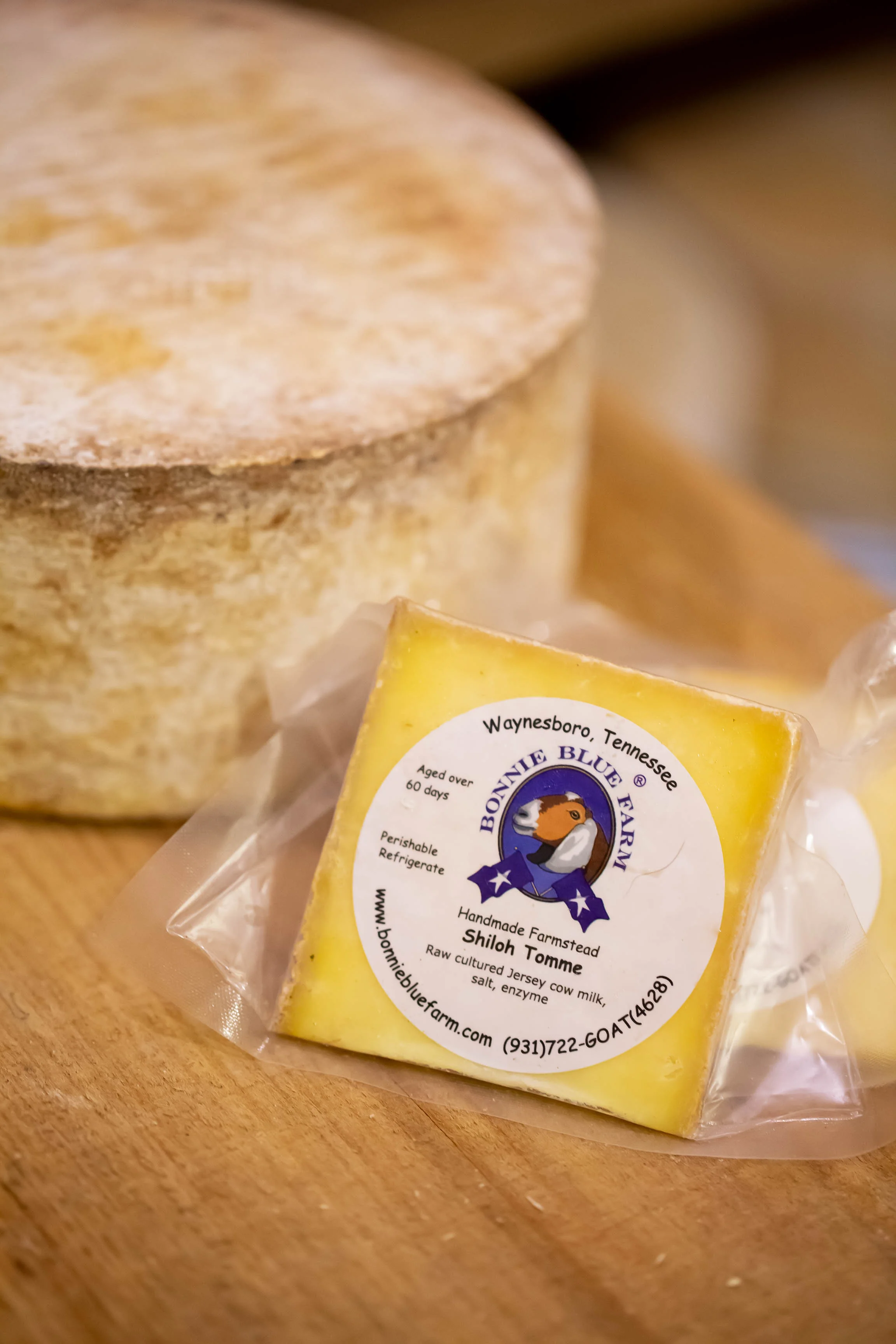sheena wilkins - product_shiloh_tomme-1.jpg