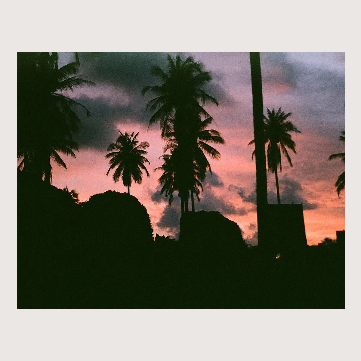 Tree Line Twilight. Koh Phi Phi, Thailand 2017 on 35mm