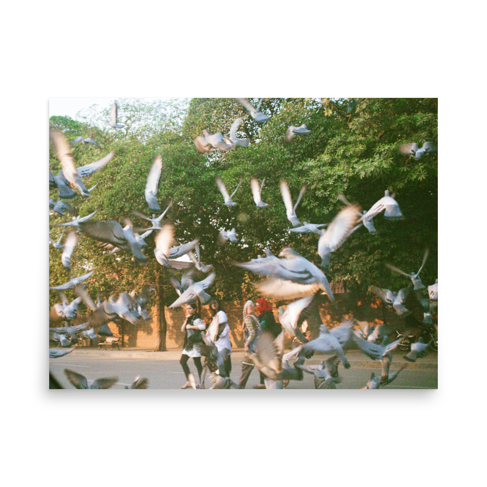 Flock. Lahore, Pakistan 2017 on 35mm