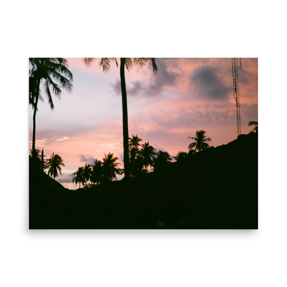 Palm Tree Twilight. Koh Phi Phi, Thailand 2017 on 35mm