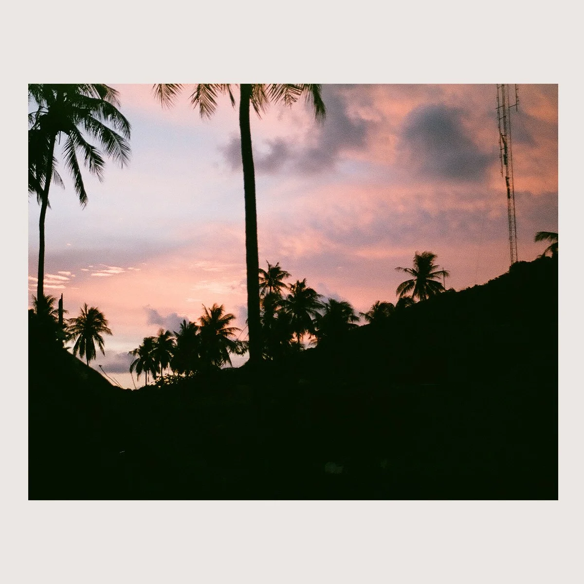 Palm Tree Twilight. Koh Phi Phi, Thailand 2017 on 35mm