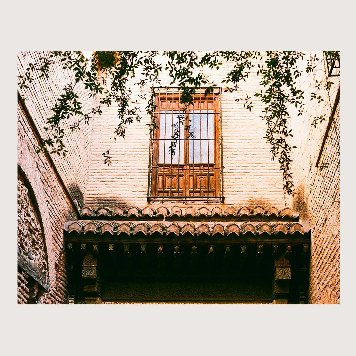 The Vines. Alhambra Palace, Spain 2022 on 35 mm