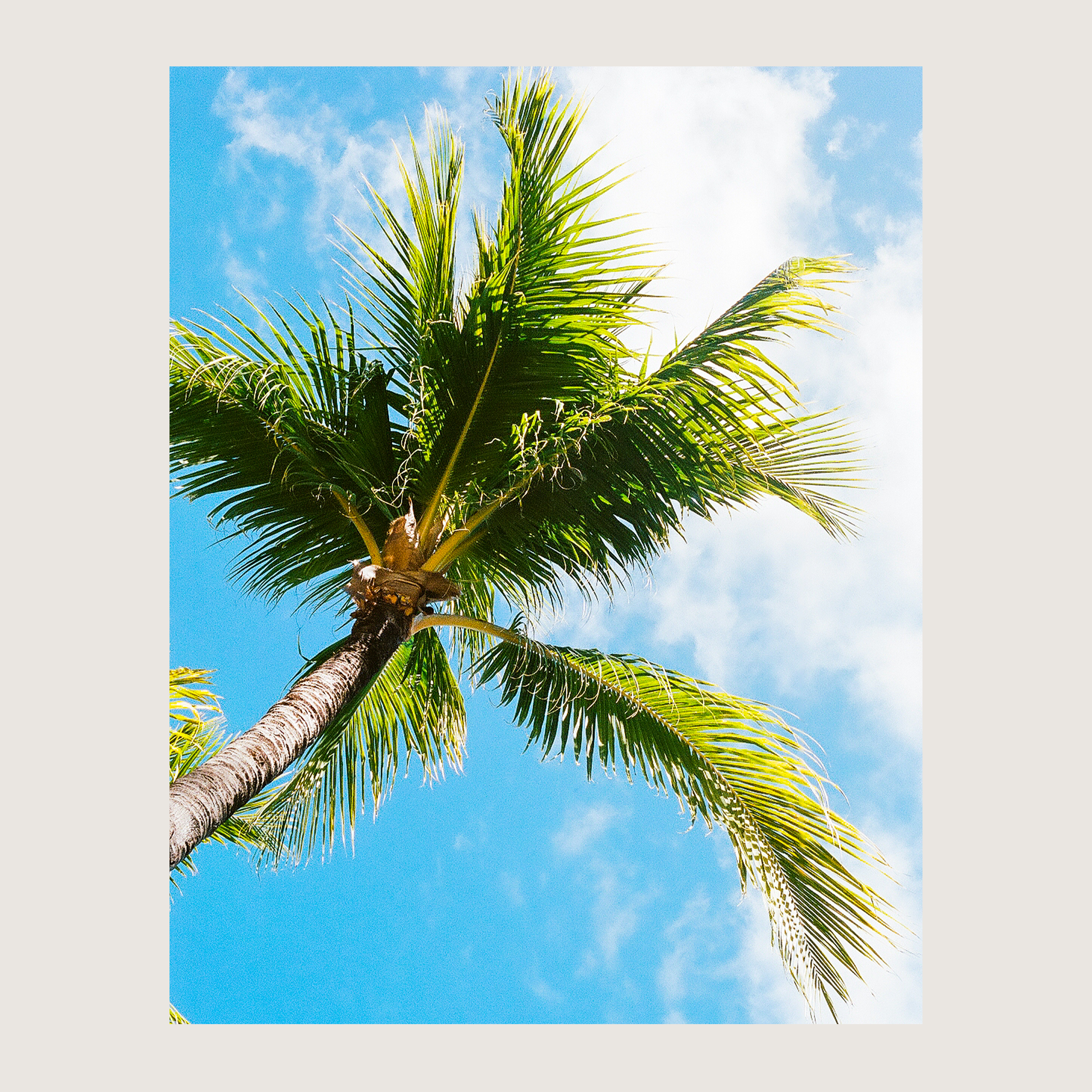 Paradise Sky. Punta Cana, The Dominican Republic 2020 on 35mm