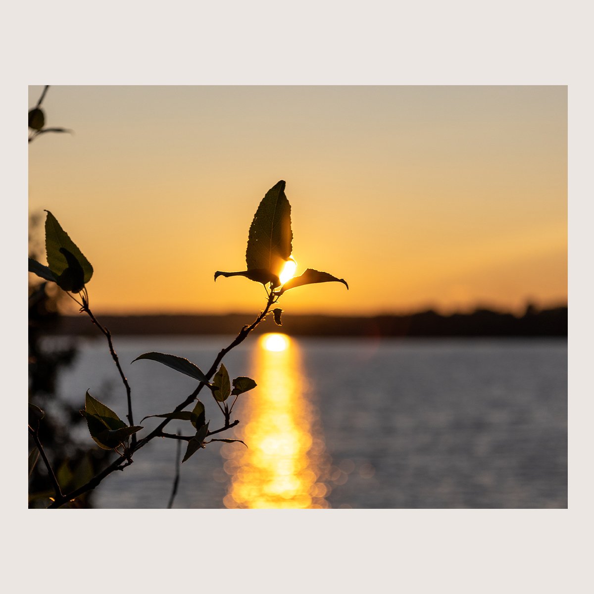 Sunset on the Lake. Bass Lake, Ontario 2021