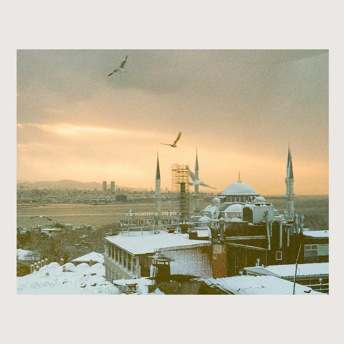 Snow Flock. Istanbul, Turkey 2025 on 35mm