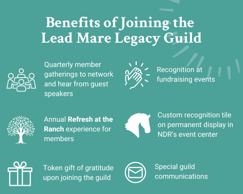 Lead Mare Legacy Guild — New Day Ranch