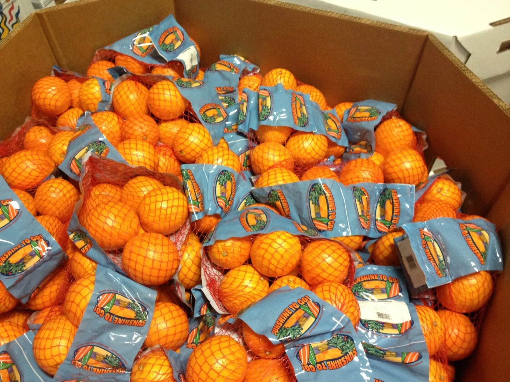 Sunshine to Go Bins.JPG