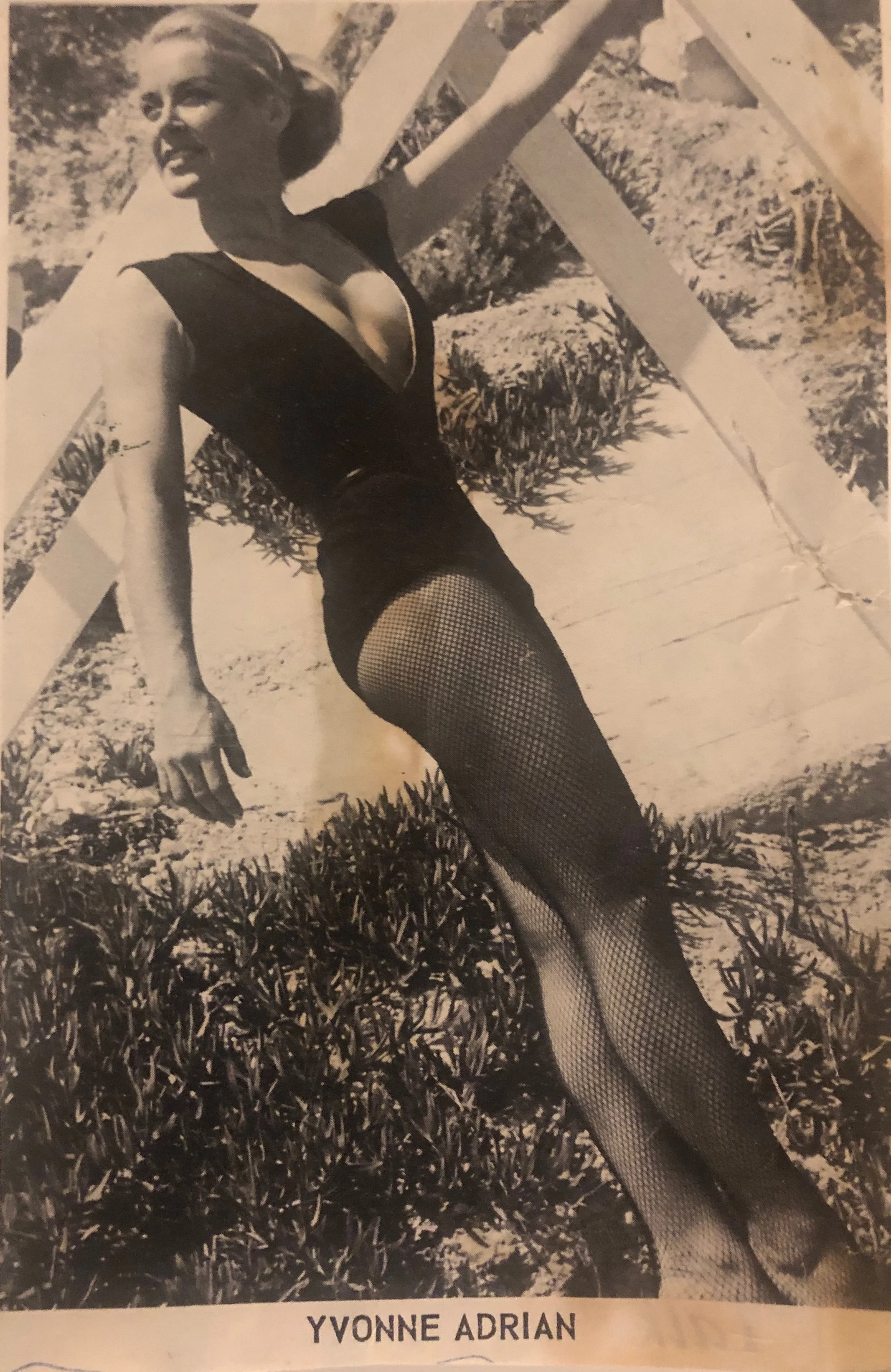 Yvonne &amp; Roger Puckett Dance Fitness