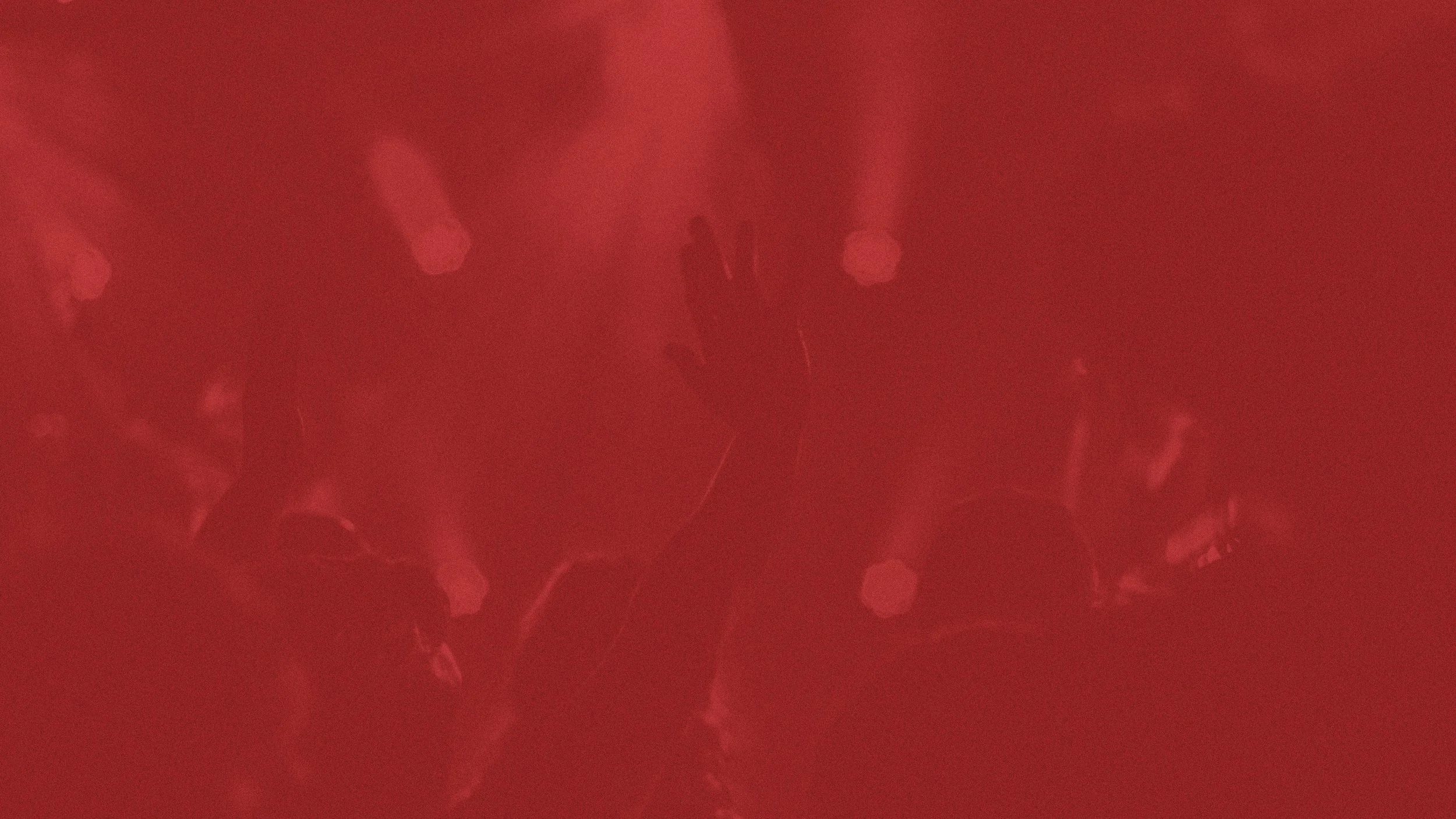 Night of Worship_background.jpg