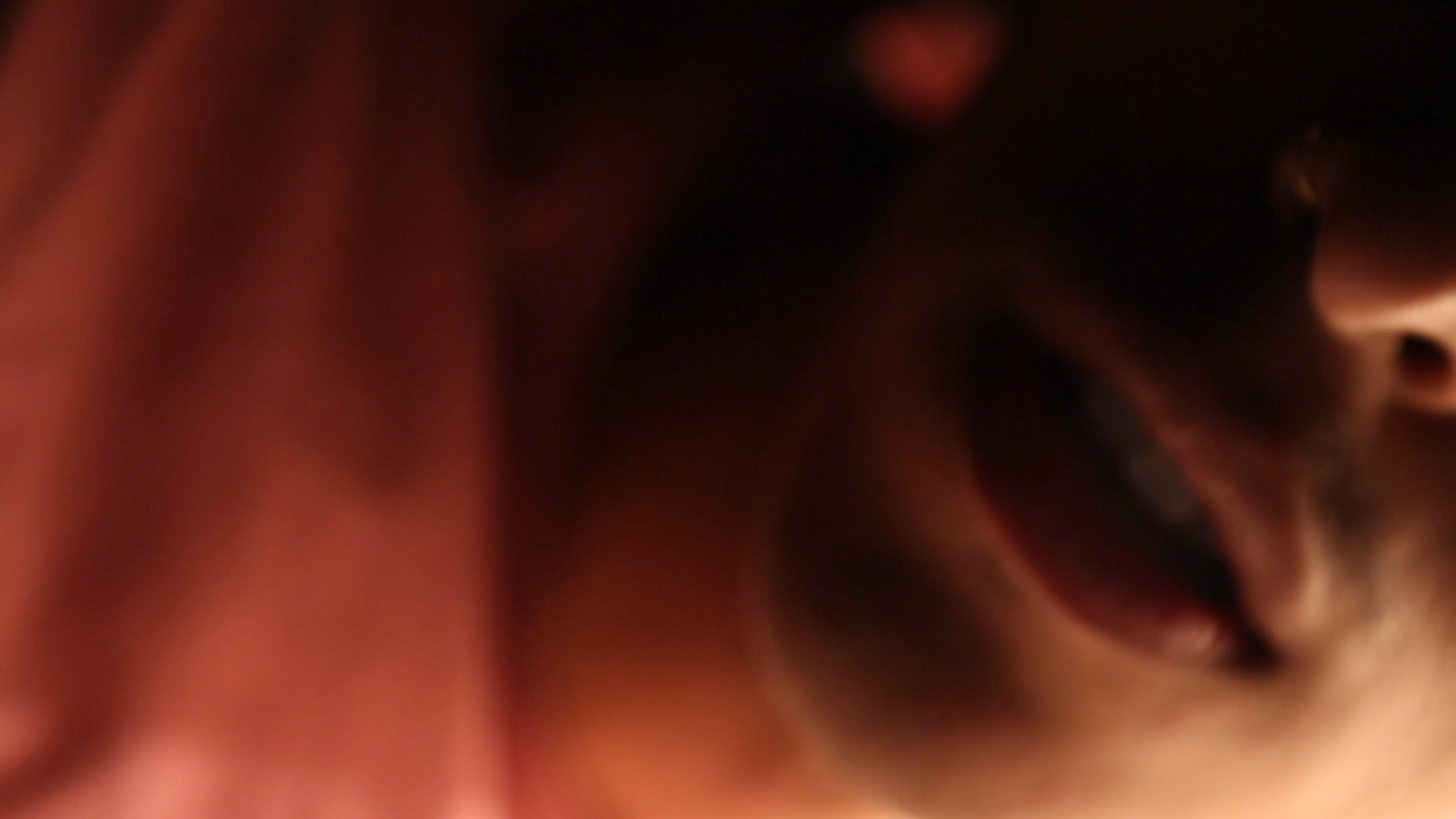 BodywithOrgans2.png