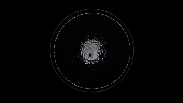 Top down view of water cymatics