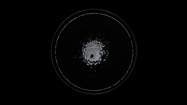 Ripple Effect — Dorsey Bromwell Kaufmann
