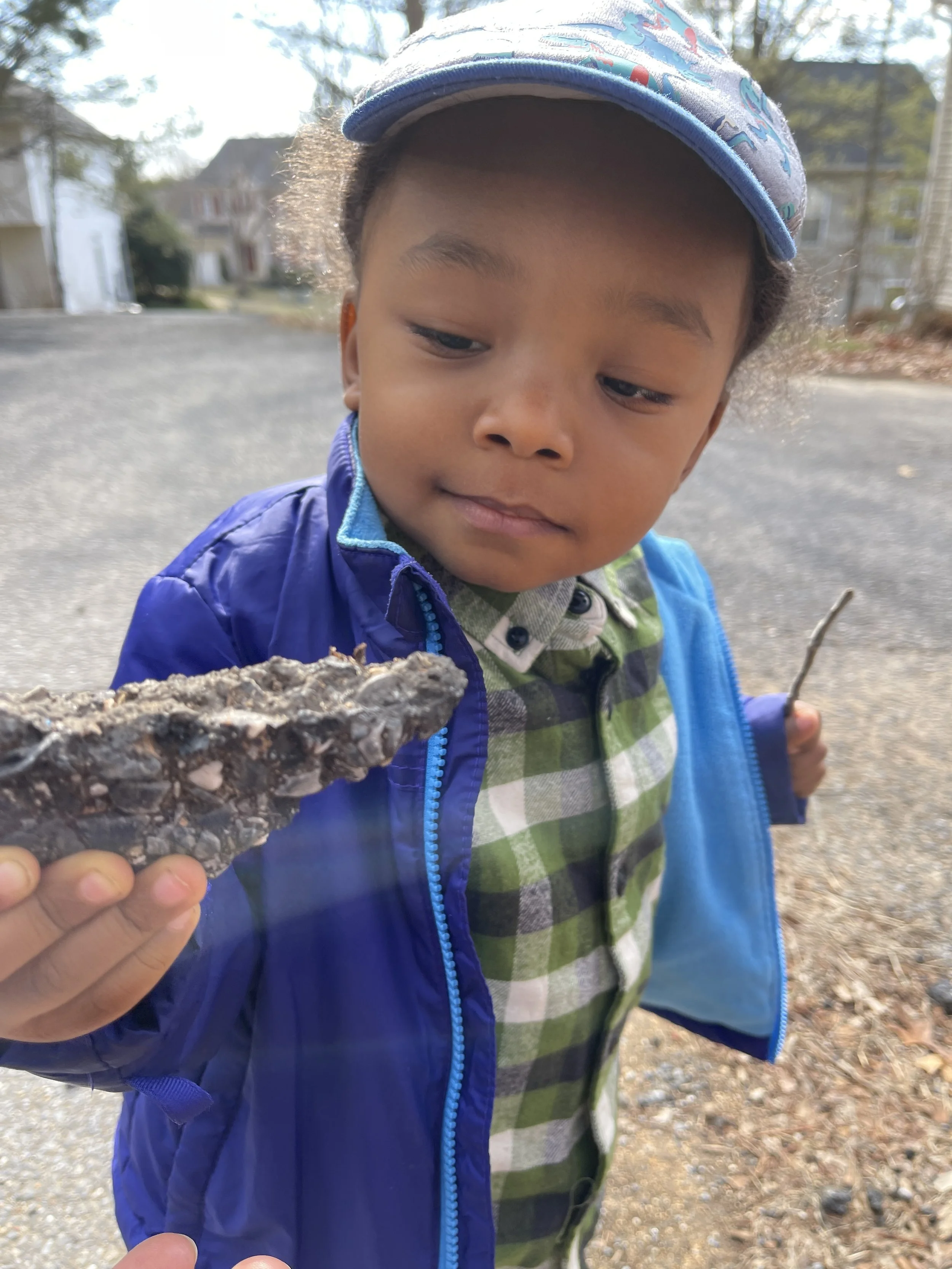 Tuesday, February 4, 2025