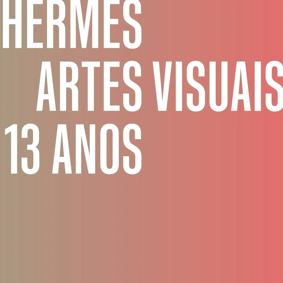 Hermes Artes Visuais 13 Anos