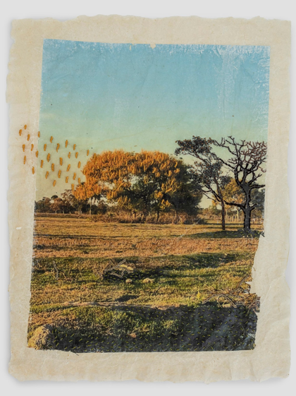  Maria Lucia Simonsen, Sem título, 2024. Serie: Rural, Papel de bananeira e bordado, 32 x 24,5 cm 