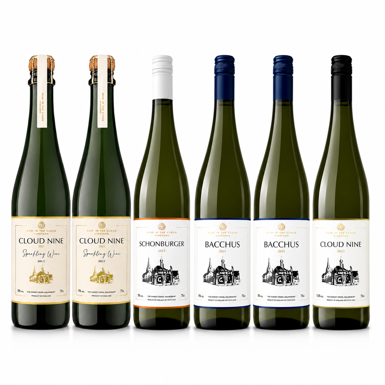 The Mixed Starter Case of 6 (a bit of everything!)
