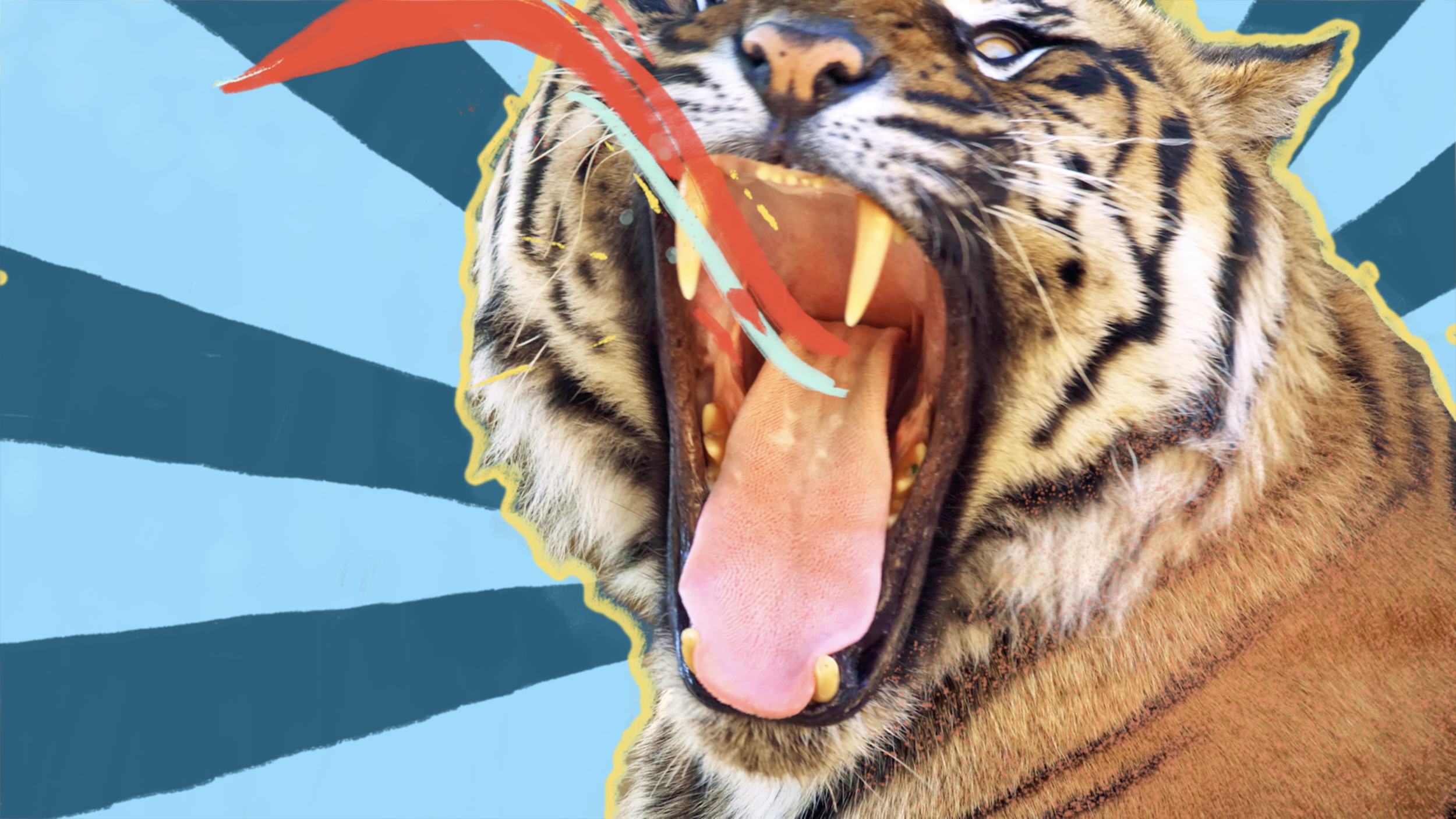 Screen Shot 2019-08-16 at 1.20.09 AM.png