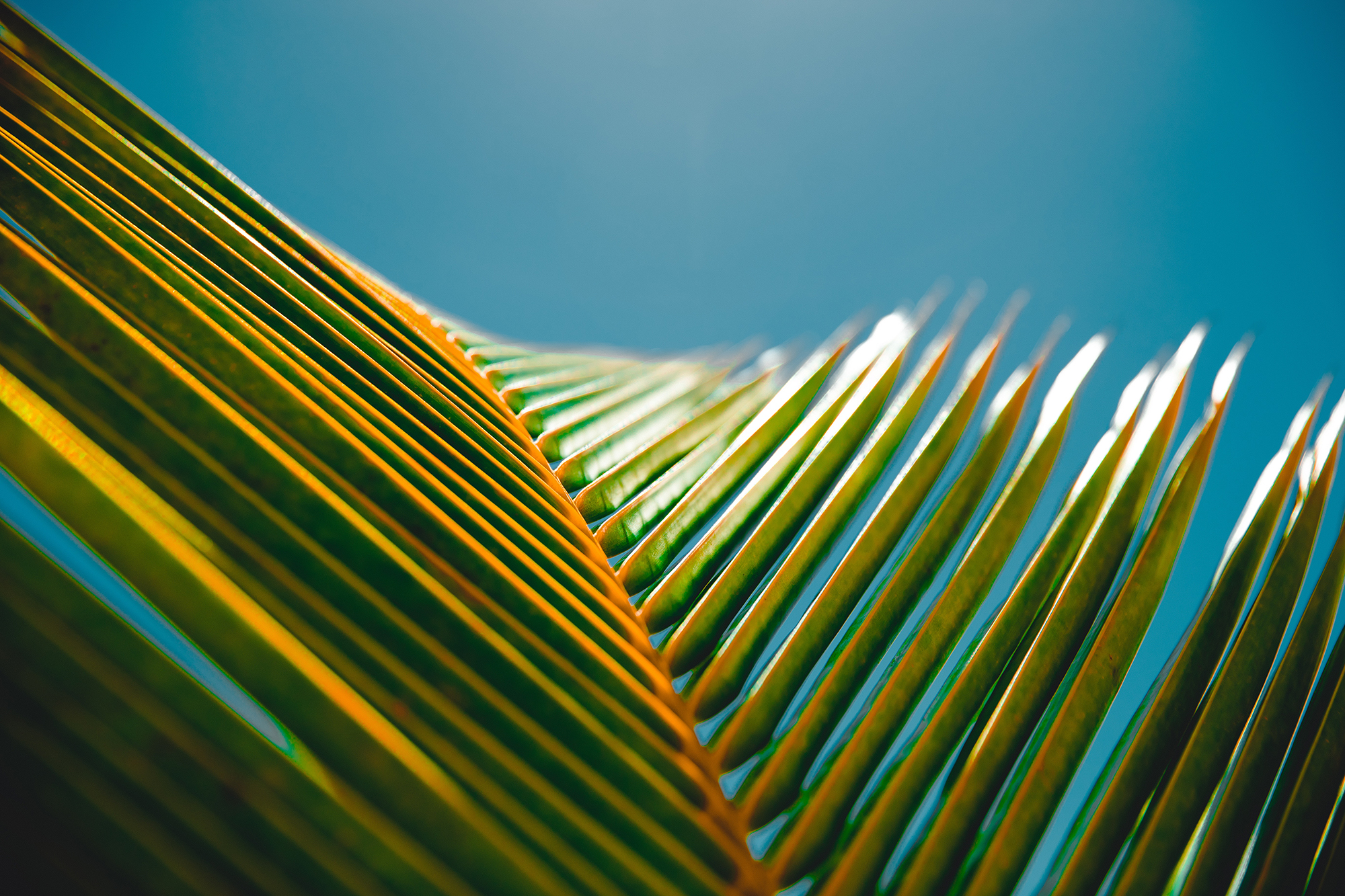 jakob-owens-190795-unsplash_sm.jpg