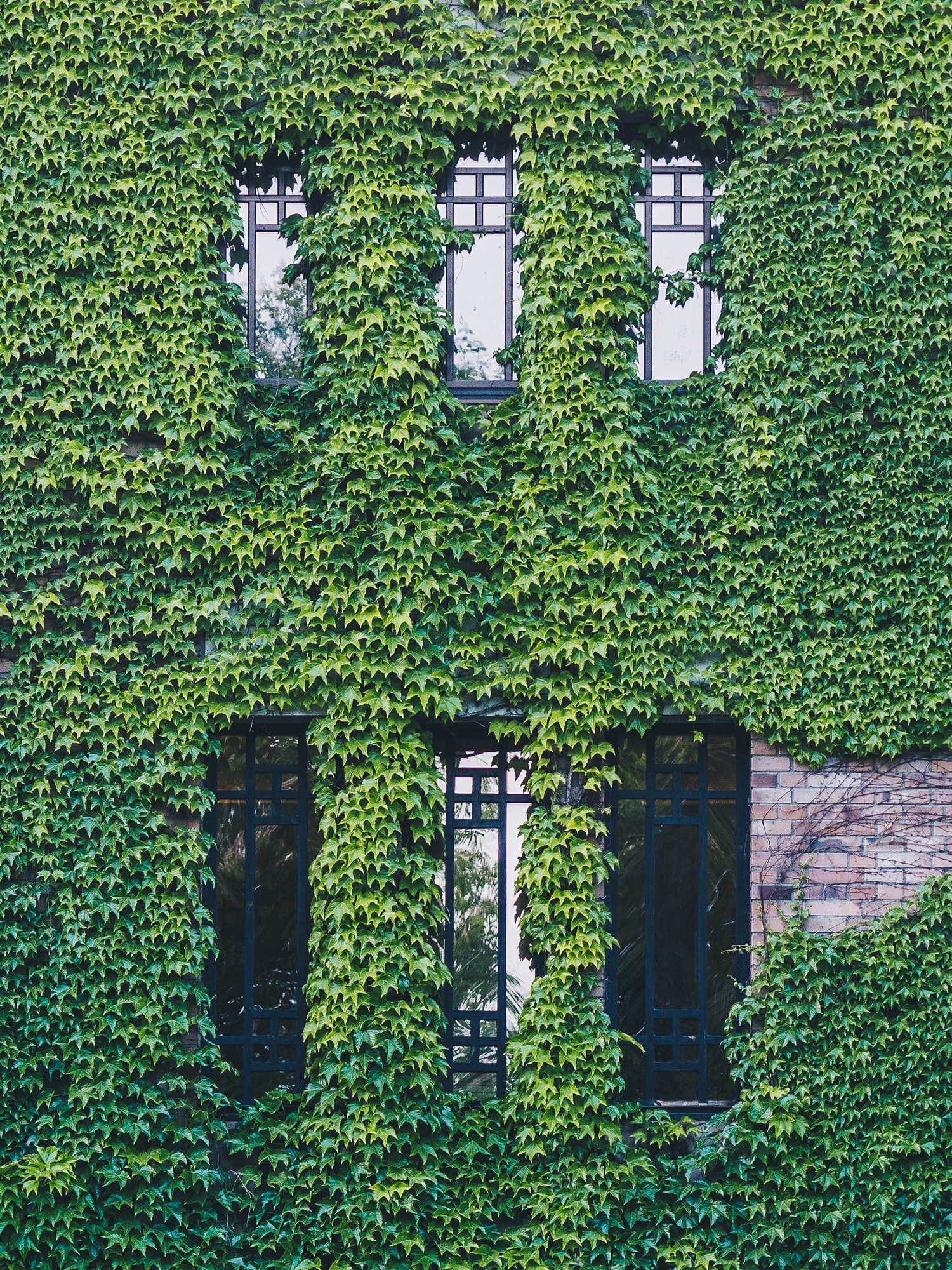 kamil-szumotalski-665756-unsplash_sm.jpg