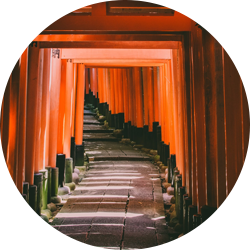 image 7.png