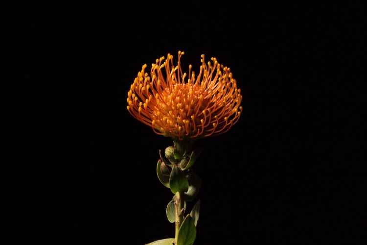 “An Exciting and Profound Process"