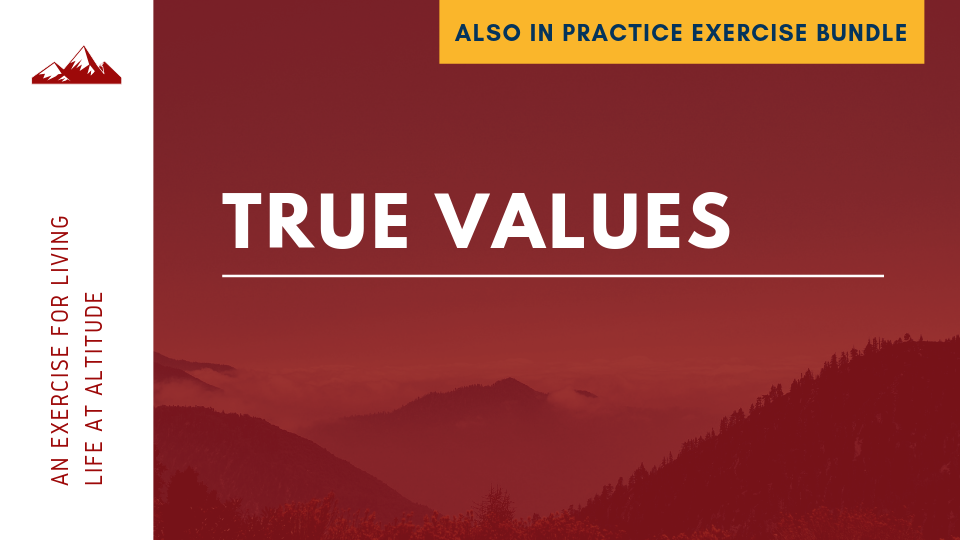 True Values ECourse 