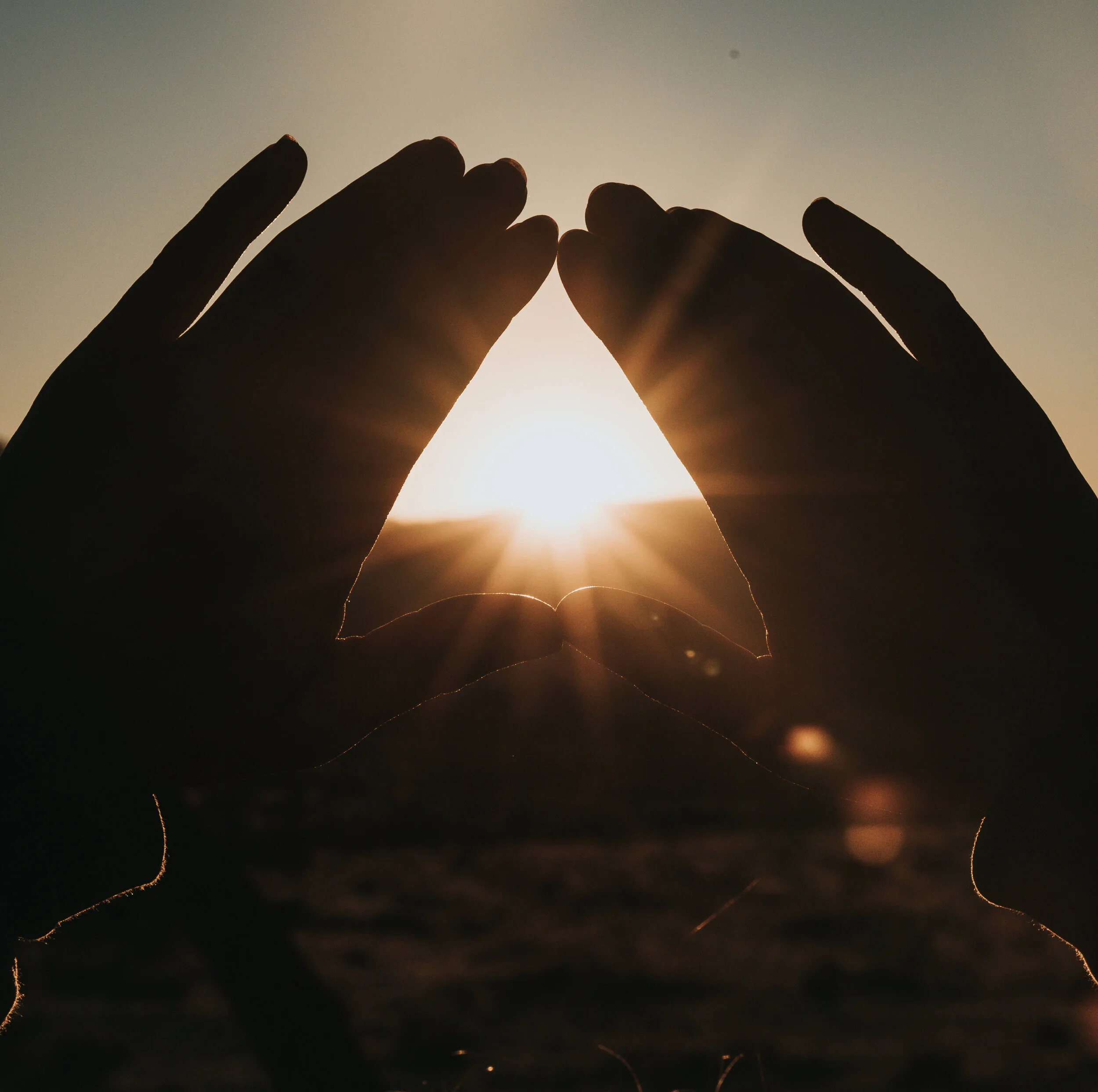 Collaboration Exploratory Call