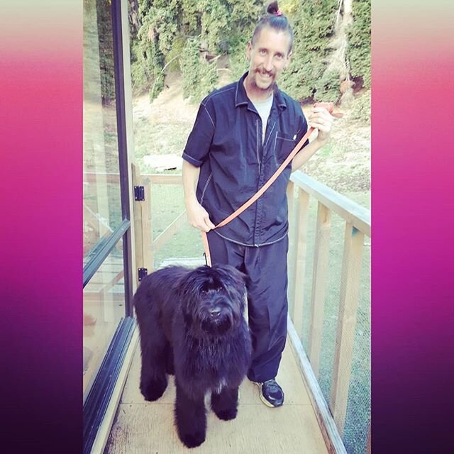 Meet *EVIE the French Briard puppy* 🐾

We just 💜 the large breeds, and at 6 months old 'wee' *EVIE* is definitely going to be a biggen!

Do you have a very large dog? Having two groomers means we are set up to safely groom dogs as big as they get ?