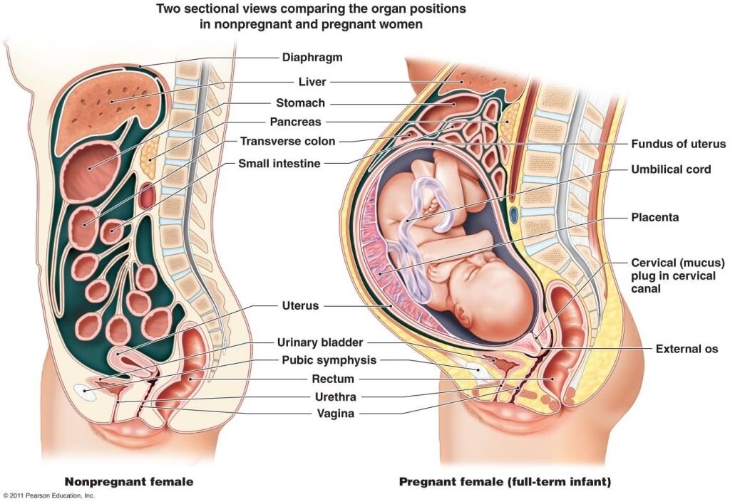 Bengkung belly binding benefits — Mālama Momma